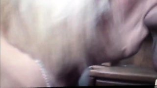 Mommys Dirty Talk und Blowjob