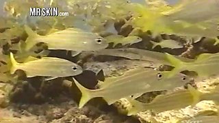 Mr Skin's Tan Lines Celebrity Clips