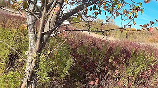 Perfect Body Tiny Petite Hana