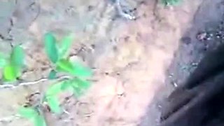 Brazilian Hooker Gives Wild Street Blowjob Action