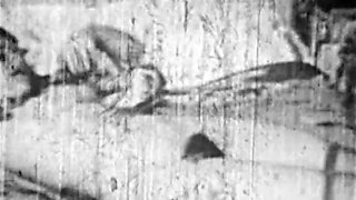 Adorable schoolgirl dildo webcam site free vintage