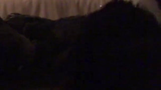 Amateur Hotwife Spit Roasted by Two Hard Cocks