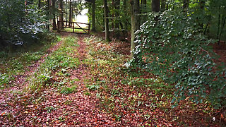 Naked Tits in the Woods Have to Be Punished