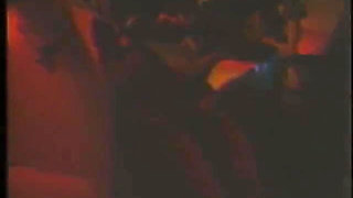 Vanessa Del Rio Orgy