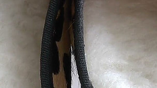 Sole Cumming! Cum in My Ballet Flats - Lady Victoria Valente
