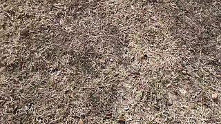 Frisbee Fun in Phoenix