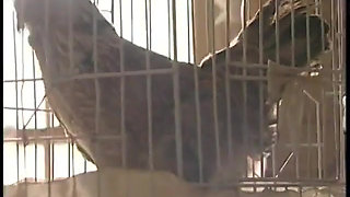 Two guys watch a slutty blond get fucked in her pussy by a machine