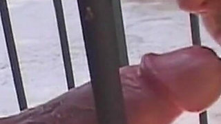 Caged Blonde Cougar Gets Leashed and Drilled Deep
