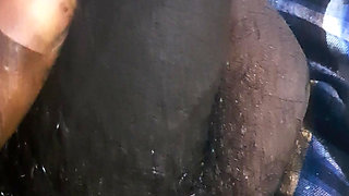 Big black dick. Large penis with veins