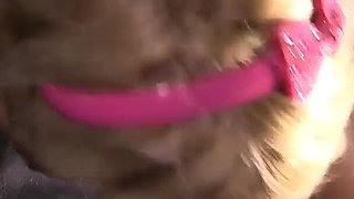 Peite amateur Lila first gloryhole POV