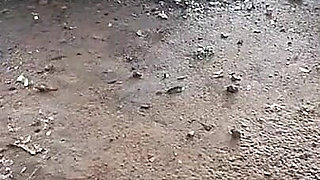 My Step Daughter Before Being Seduced