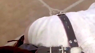 Mz18 - a Puppy Wearing Pajamas, Bound to Extreme Limits