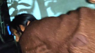 Desi Aunty Midnight Sex With Neighbour