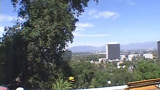 Black Hole Devouring Thick Black Shaft