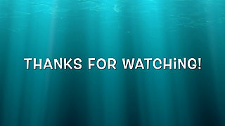 Lanista Bear showers with Kitty to get he clean before play time!