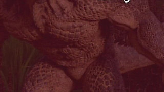 Fucking My Pregnant Stepsister in the Barn