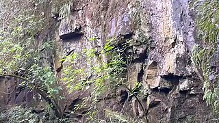 Extreme amateur pov blowjob by hot brunette latina