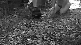 Pet Girl Obedience Training