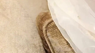 Giant Cock for Indian Yasmina Khan