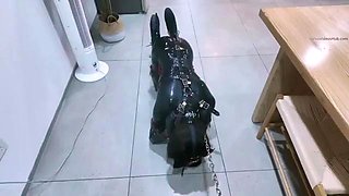 OrangeBoyS Bondage Studio A small covered in locks JiangWei,