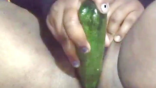 Today, Indian Bhabhi Quenched Her Desire by Inserting a Cucumber Into Her Pussy