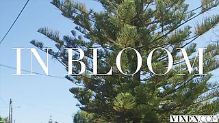 Matchless Eva Kay's doggystyle clip