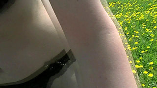 A Summer Day in the Park