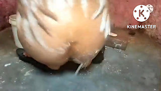 Indian Stepmom Anal Hard Fuck When Stepdad Outside Job