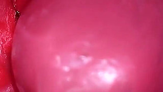 Inside a Camgirl Cervix POV Camera in Vagina with Big Dick Toy