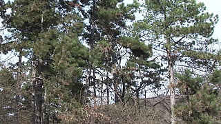 Perfect Blonde Babe From France Out Outdoor Anal Pounded