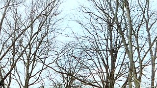 03 Porn to censored softcore erotic Exoporn