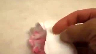 The Art of Seduction as She Changes Clothes ft. Abella Danger: Babe, Big Ass  Blonde Porn