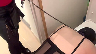 Head in the Toilet...