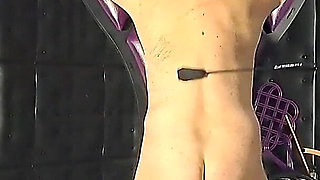 Whips for the Slavesass