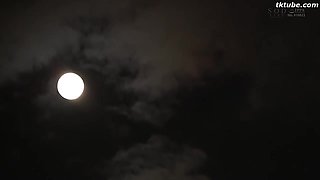 034-wguuhy-ouhsgy-poo-art