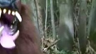 Big bad wolf explodes hot spunk in horny busty blonde sluts