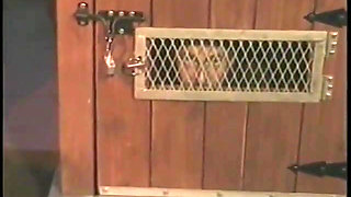 Bound man is subdued with strange penis remedy by two chicks in dungeon