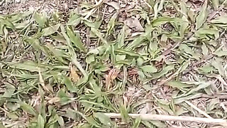 Jangal Me Chut Ka Maggal