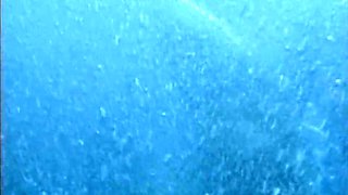 Eileen Dorf, Mick Blue And Titus Steel In Midnight Wild Encounter (full Movie)