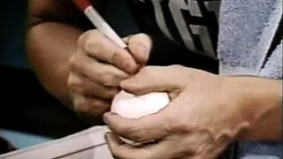 Blowjob Brunette Tramps Swallow Dicks