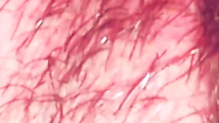 Macro Perspective: Extreme Close-up with Micro Camera