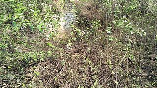 College couples enjoying outdoor fucking