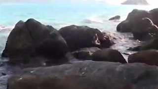Amateur Couple's Beach Sex Tape