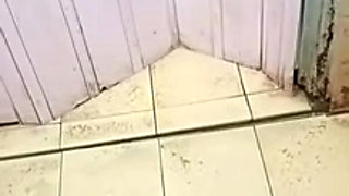 Exclusive Video Call Service - Mohini & Bhishnu Originals