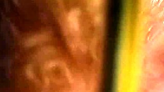 Blowjob Close Up No Hands Cumshot