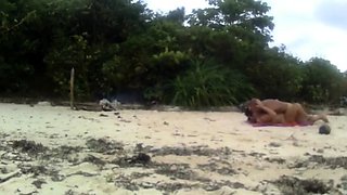 Beach Love Motion Outdoor Amateur Fun