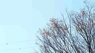 S-class Slender Beauty with a Nice Ass, Seeks a New Thrill with Her in-law