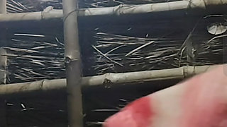 Desi bhabhi ashlil video