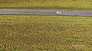 Joymii - Man Cheats on Her Wife by This Hot Hitchihiker