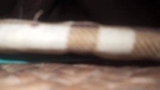 My stepbrother fucks my ass